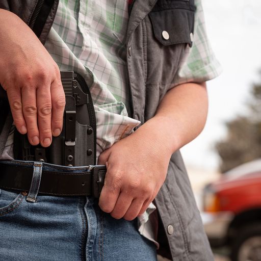 OMNICARRY MULTI-FIT IWB HOLSTER